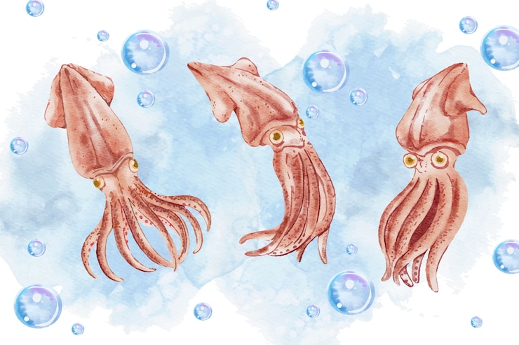 Vecteur gratuit illustration de calmar aquarelle