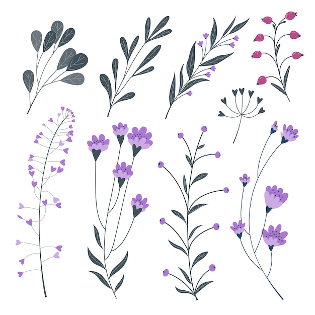 Illustration De La Collection De Belles Fleurs