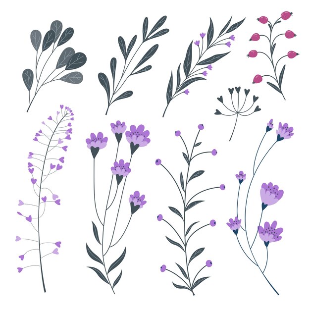 Illustration de la collection de belles fleurs