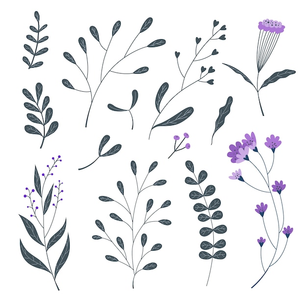 Illustration De La Collection De Belles Fleurs