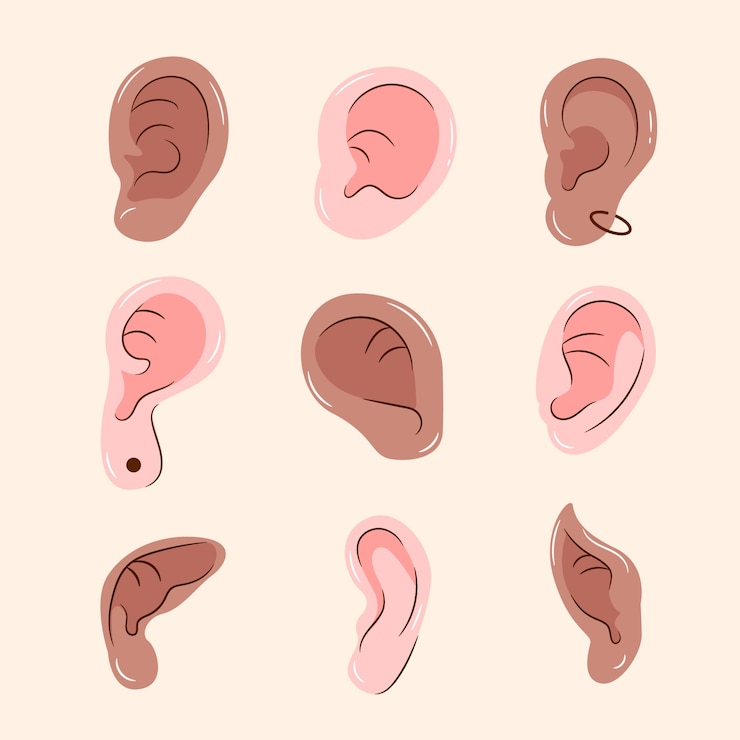 Vecteur gratuit illustration de la collection de dessins animés de l'oreille dessinée à la main