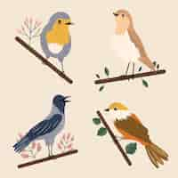 Vecteur gratuit illustration de collection d'oiseaux colorés