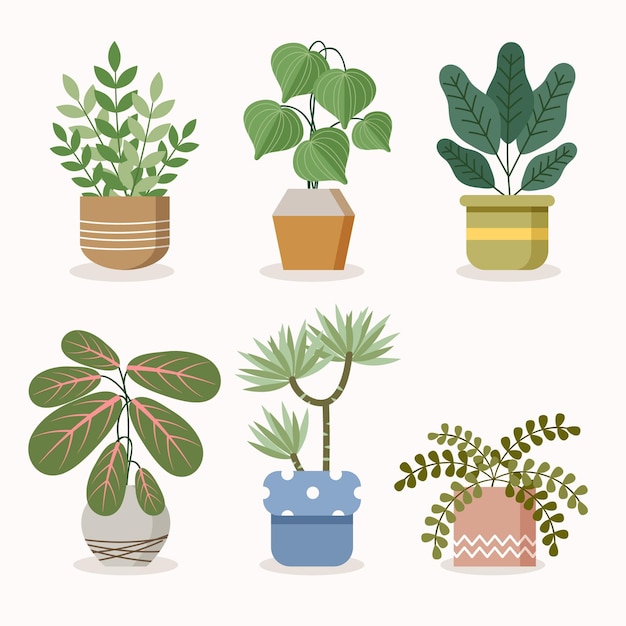 Vecteur gratuit illustration de la collection de plantes d'intérieur