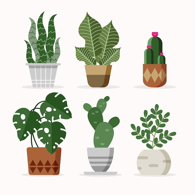 Vecteur gratuit illustration de la collection de plantes d'intérieur