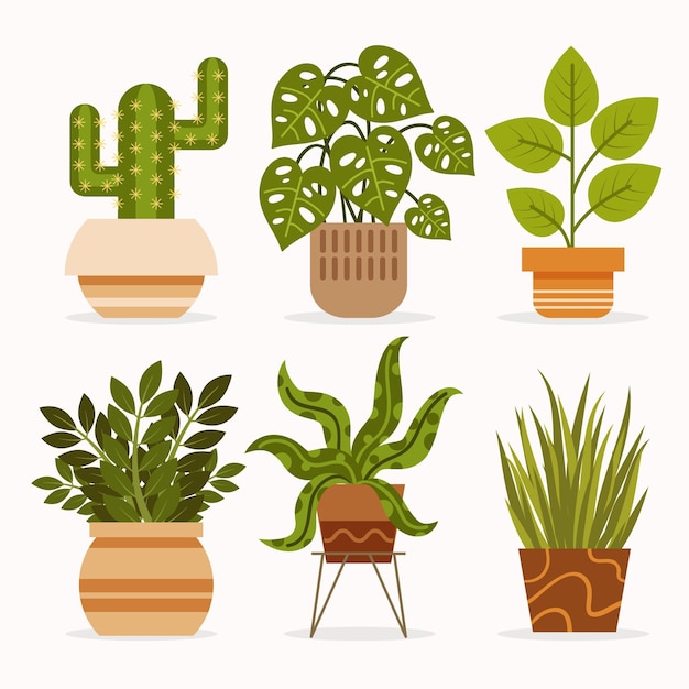 Vecteur gratuit illustration de la collection de plantes d'intérieur