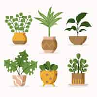 Vecteur gratuit illustration de la collection de plantes d'intérieur