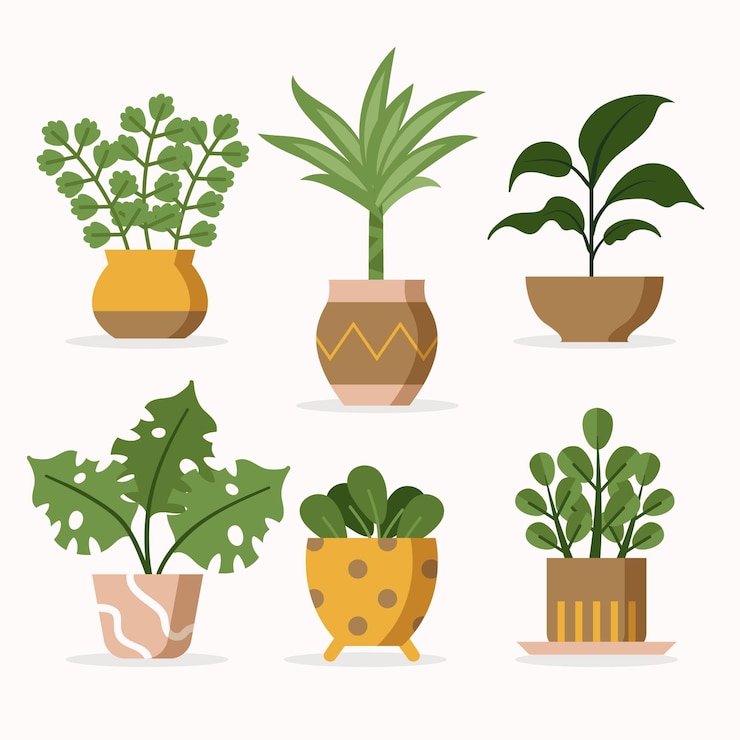 Vecteur gratuit illustration de la collection de plantes d'intérieur
