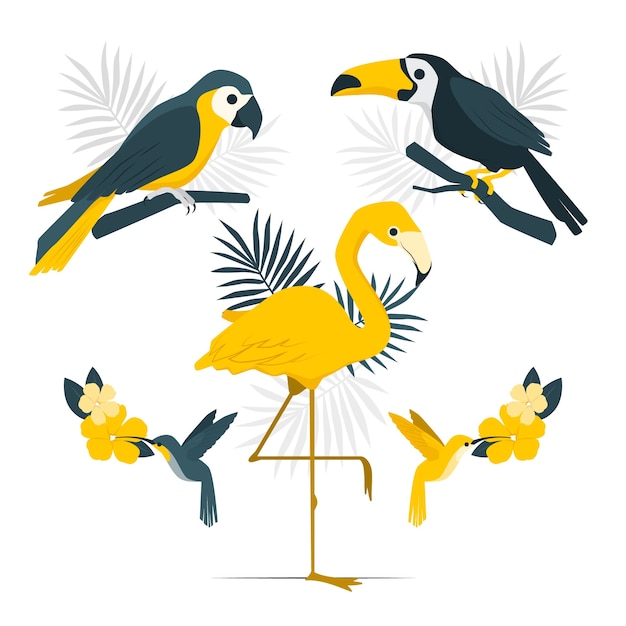 Vecteur gratuit illustration de concept d'oiseaux tropicaux