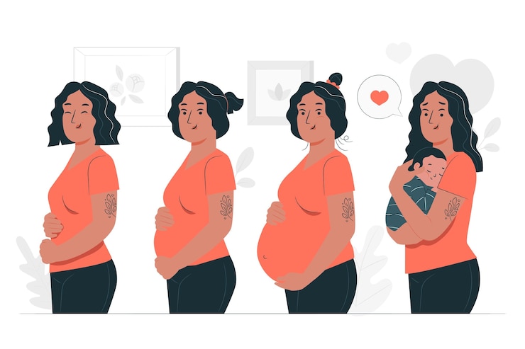 Vecteur gratuit illustration de concept de stades de grossesse