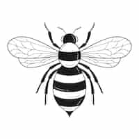 Vecteur gratuit illustration de contour d'abeille dessiné à la main