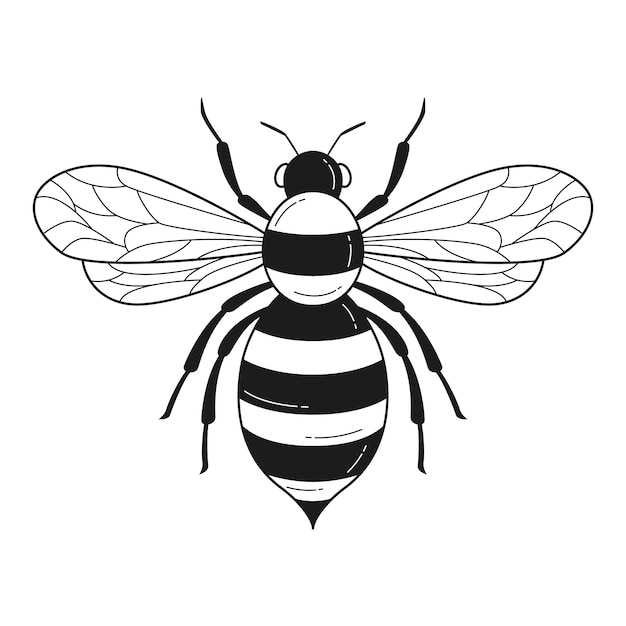 Illustration de contour d'abeille dessiné à la main