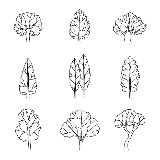 Vecteur gratuit illustration de contour d'arbres dessinés à la main