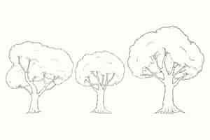 Vecteur gratuit illustration de contour d'arbres dessinés à la main