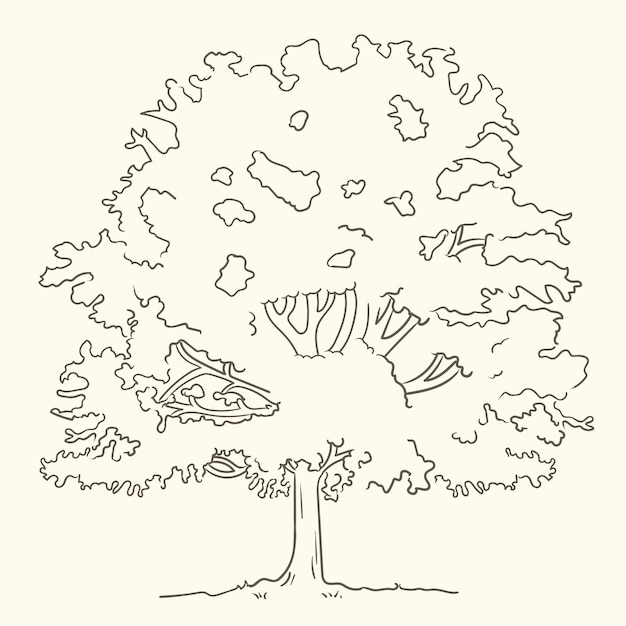 Vecteur gratuit illustration de contour d'arbres dessinés à la main