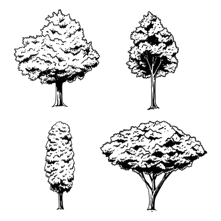 Vecteur gratuit illustration de contour d'arbres dessinés à la main