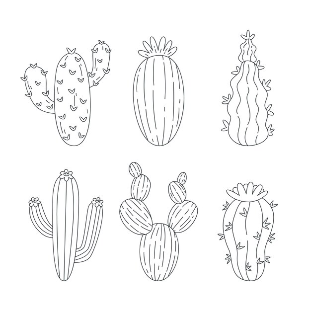 Illustration de contour de cactus dessiné à la main