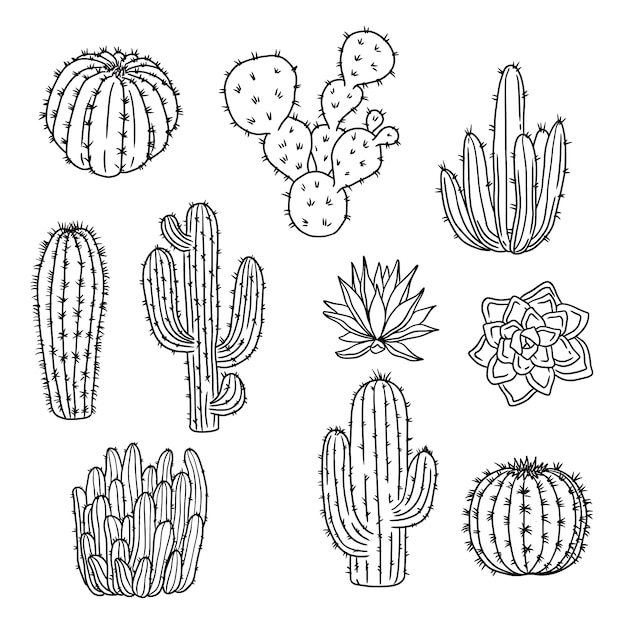 Vecteur gratuit illustration de contour de cactus dessiné à la main