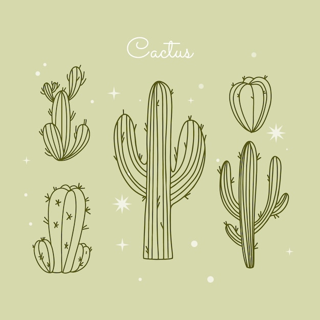 Vecteur gratuit illustration de contour de cactus dessiné à la main