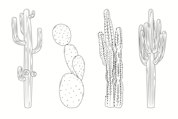 Vecteur gratuit illustration de contour de cactus dessiné à la main