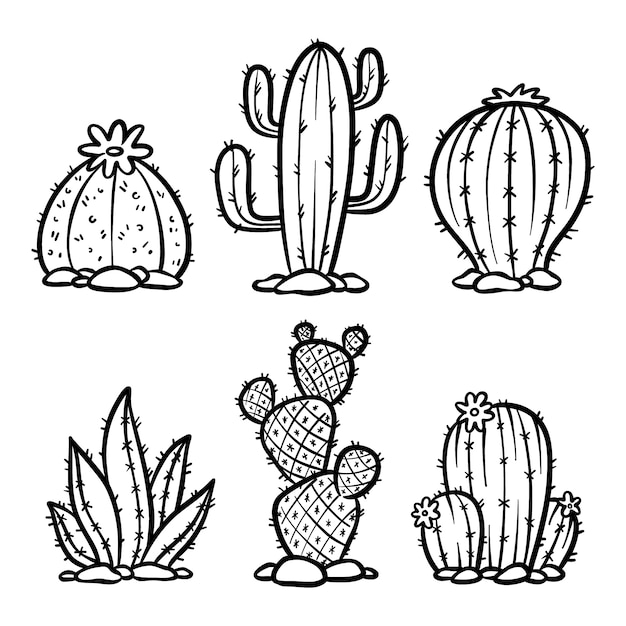 Vecteur gratuit illustration de contour de cactus dessiné à la main