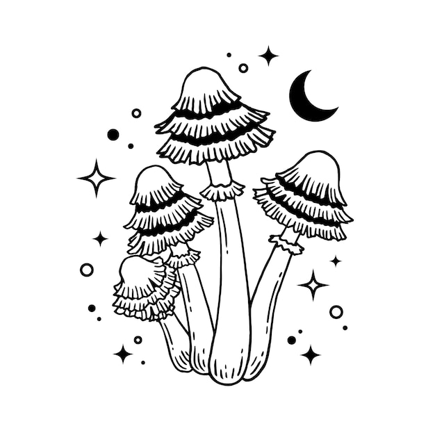 Illustration De Contour De Champignon Dessiné à La Main