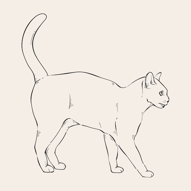 Illustration de contour de chat dessiné à la main