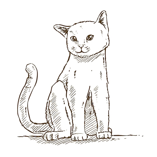 Illustration de contour de chat dessiné à la main