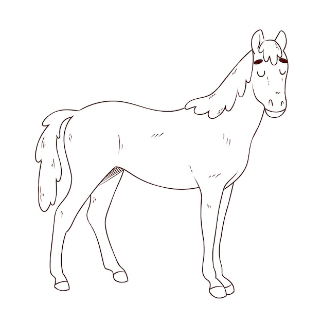 Vecteur gratuit illustration de contour de cheval dessiné à la main