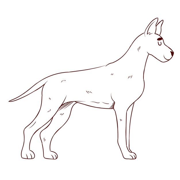 Illustration de contour de chien dessiné à la main