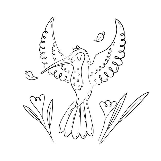 Vecteur gratuit illustration de contour de colibri dessiné à la main