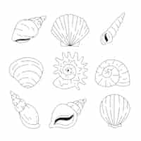 Vecteur gratuit illustration de contour de coquillage dessiné à la main