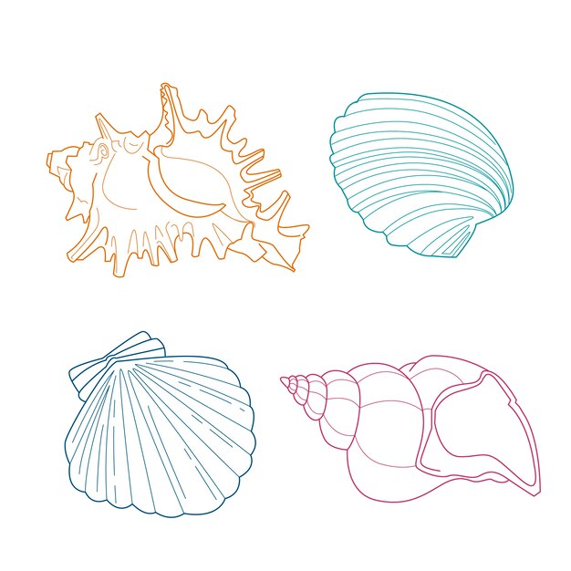 Illustration de contour de coquillage dessiné à la main