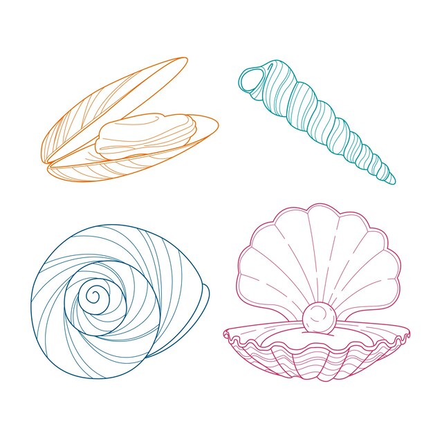 Illustration de contour de coquillage dessiné à la main