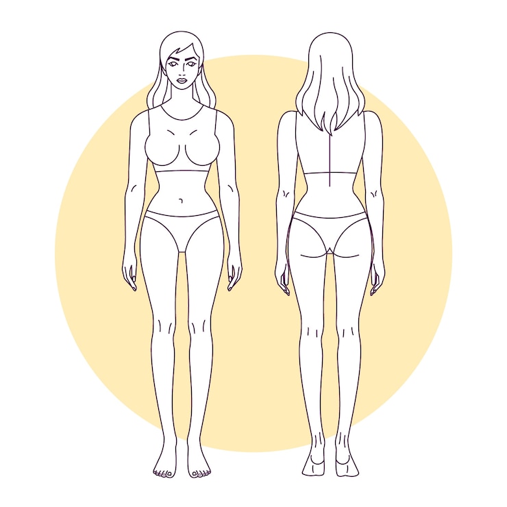 Vecteur gratuit illustration de contour du corps humain dessiné à la main