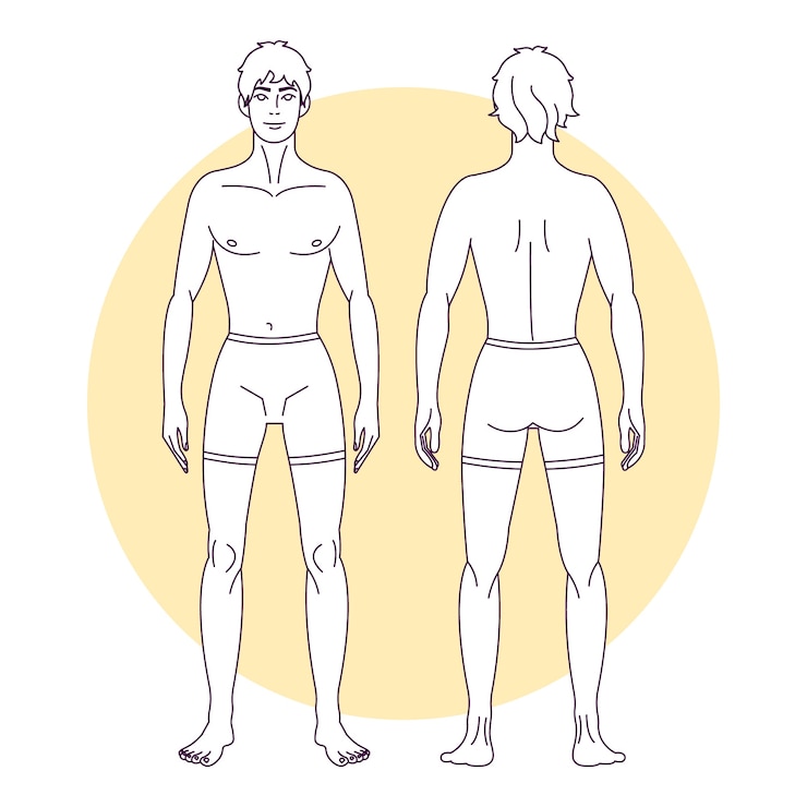Vecteur gratuit illustration de contour du corps humain dessiné à la main