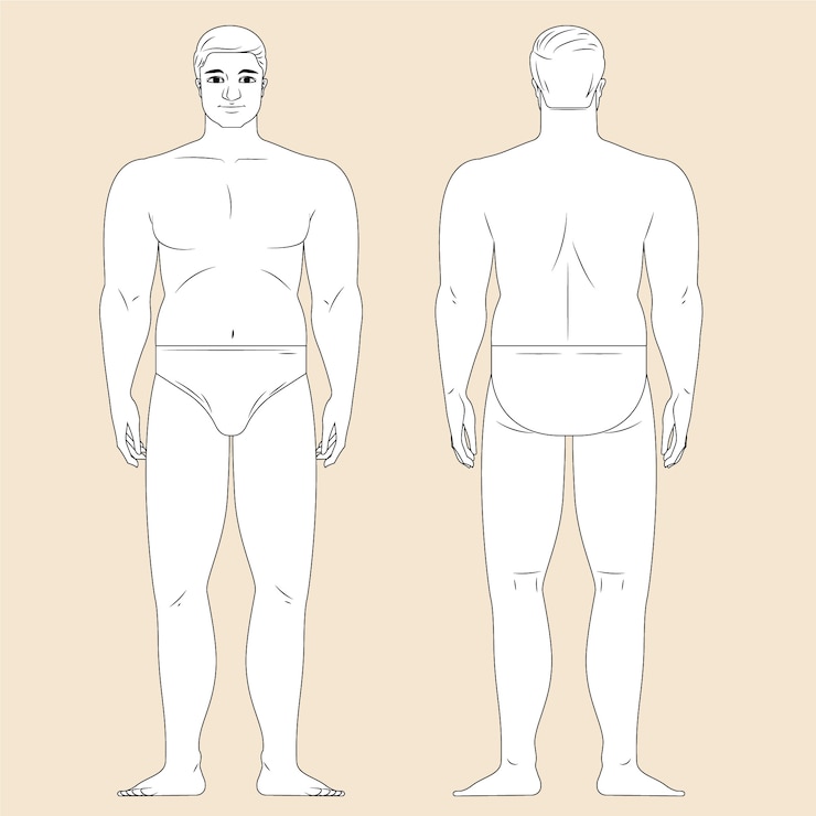 Vecteur gratuit illustration de contour du corps humain dessiné à la main