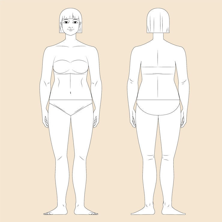 Vecteur gratuit illustration de contour du corps humain dessiné à la main
