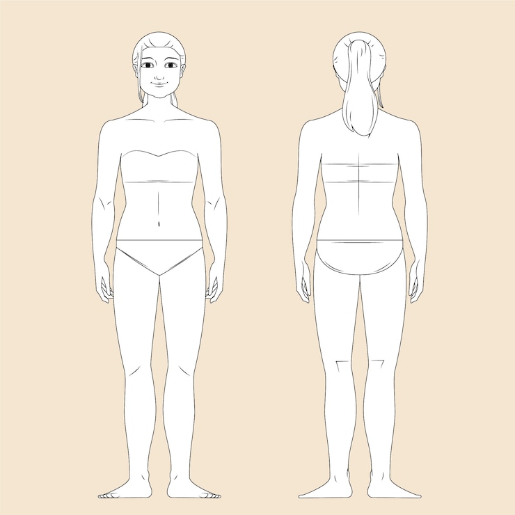 Vecteur gratuit illustration de contour du corps humain dessiné à la main