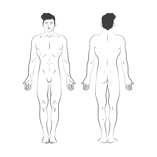 Illustration De Contour Du Corps Humain Dessiné à La Main