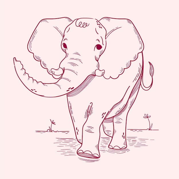 Illustration De Contour D'éléphant Dessiné à La Main