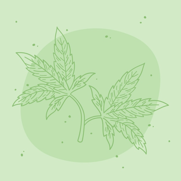 Illustration De Contour De Feuille De Marijuana Dessinée à La Main