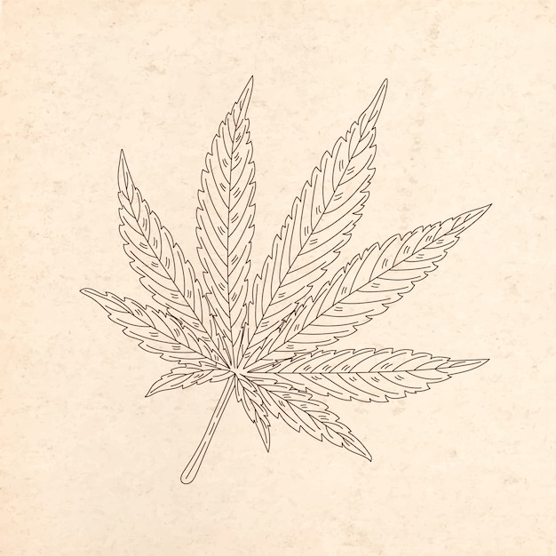 Illustration de contour de feuille de marijuana dessinée à la main