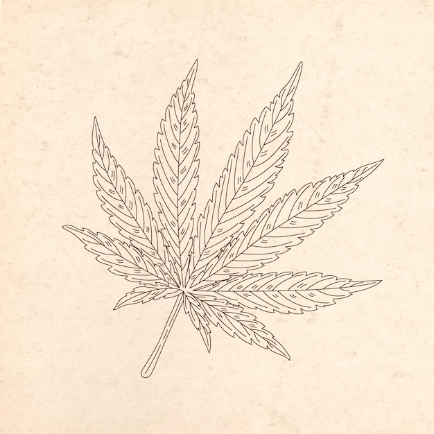 Illustration De Contour De Feuille De Marijuana Dessinée à La Main