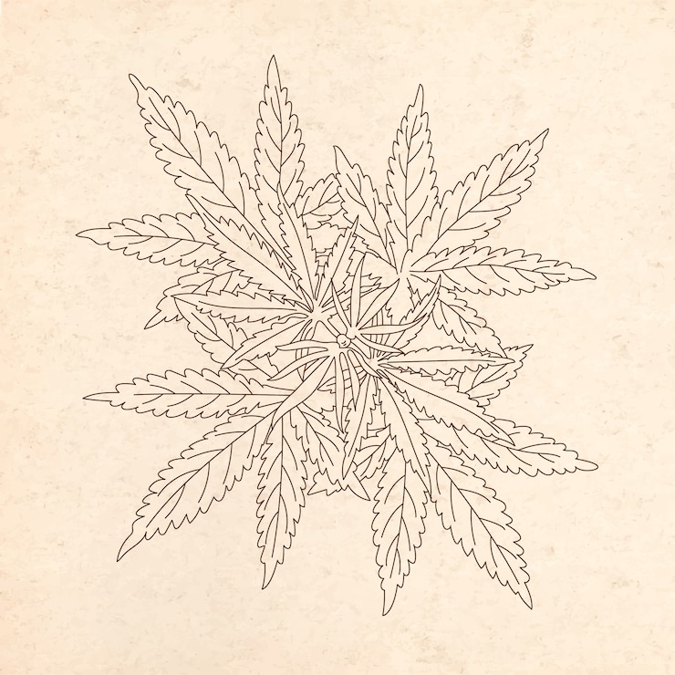 Vecteur gratuit illustration de contour de feuille de marijuana dessinée à la main