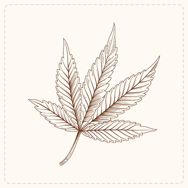 Vecteur gratuit illustration de contour de feuille de marijuana dessinée à la main