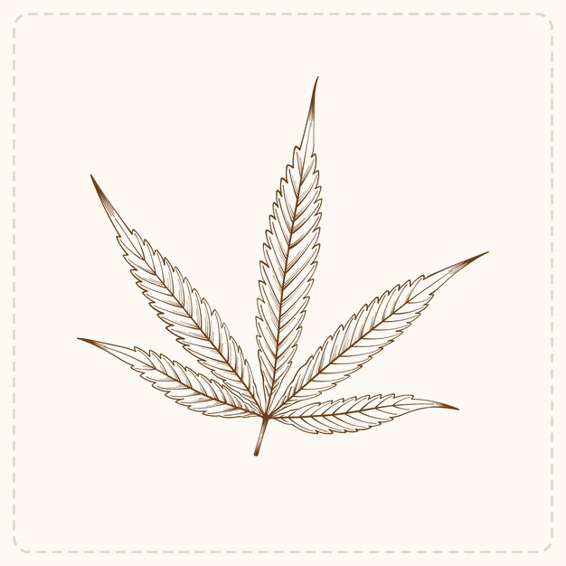 Illustration de contour de feuille de marijuana dessinée à la main