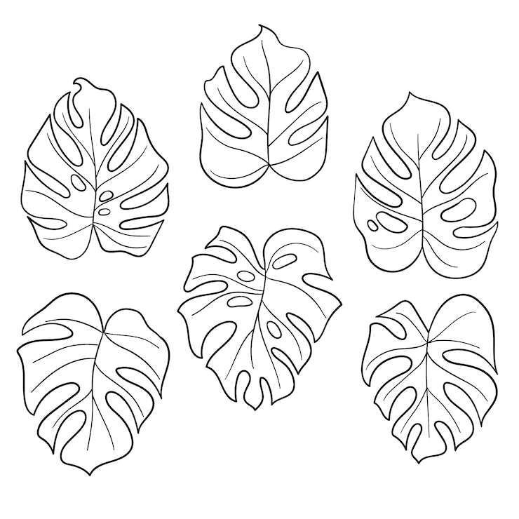 Vecteur gratuit illustration de contour de feuille de monstera dessinée à la main