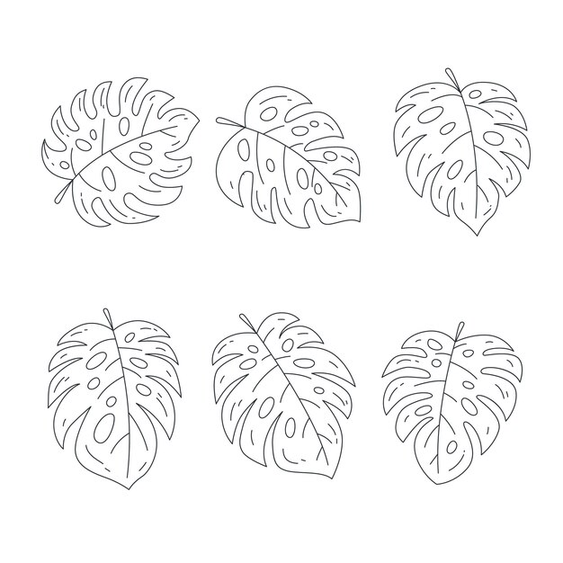 Illustration de contour de feuille de monstera dessinée à la main