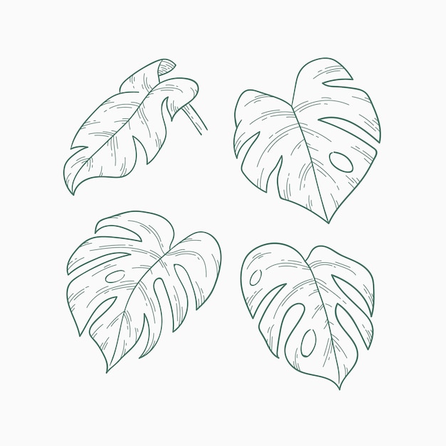 Vecteur gratuit illustration de contour de feuille de monstera dessinée à la main