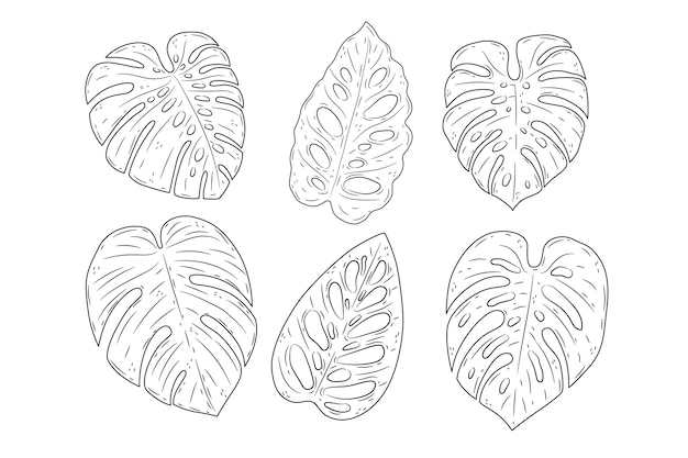 Vecteur gratuit illustration de contour de feuille de monstera dessinée à la main